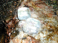 Wasserbelebung